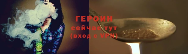 крисы Тайга