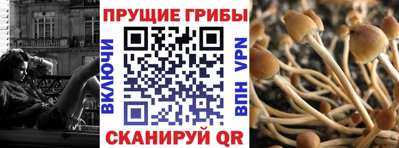 Галлюциногенные грибы Cubensis  Купить закладки  Ростов-на-Дону 