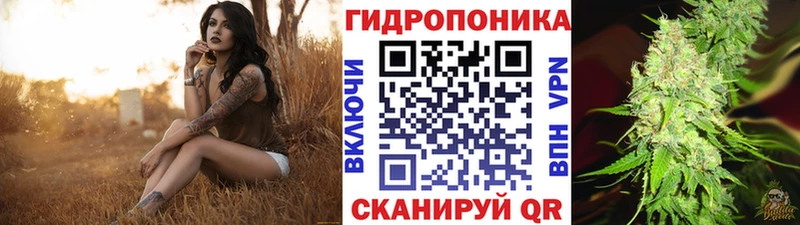 Бошки марихуана сатива  Купить закладки  Ростов-на-Дону 